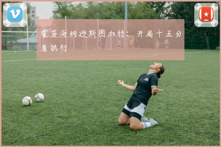 霍芬海姆迎斯图加特：开局十五分看执行