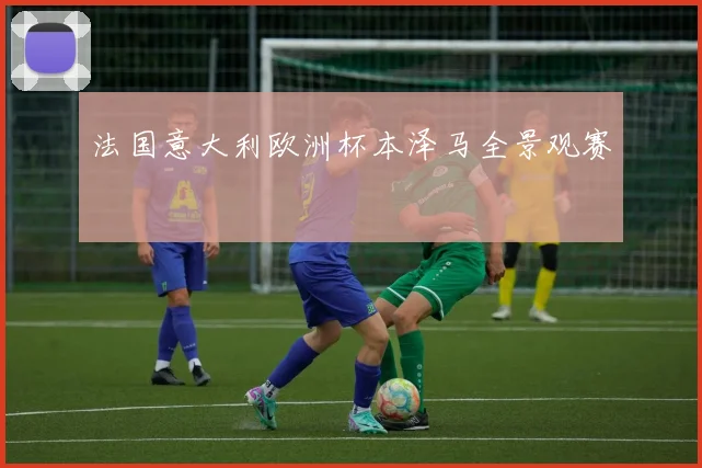 法国意大利欧洲杯本泽马全景观赛