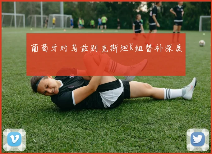 葡萄牙对乌兹别克斯坦K组替补深度