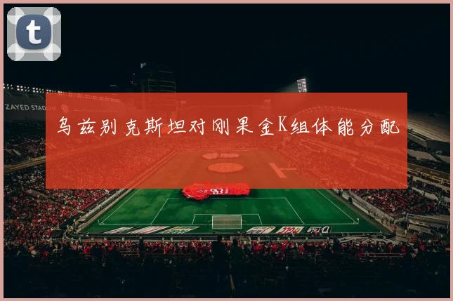 乌兹别克斯坦对刚果金K组体能分配