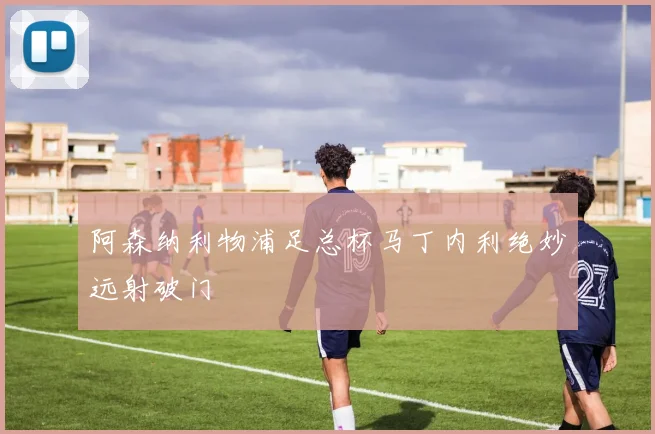 阿森纳利物浦足总杯马丁内利绝妙远射破门