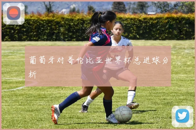 葡萄牙对哥伦比亚世界杯总进球分析
